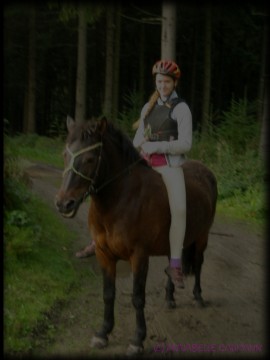 Im Wald da ist es duster...
