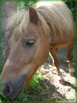 Gras!! Grasgrasgrasgras!!