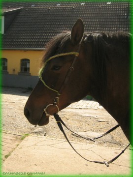 Seeeehr stolz und auch ein kleines bisschen müde sind wir wieder zuhause angekommen!!