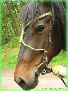 Sooo Annabelle, Wer zuerst bei dem Baum dort hinten ist gewinnt!!