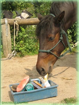 Soo, jetzt wird erstmal fleißig geputzt! Ich helfe mit, sonst werden wir ja nie fertig!!