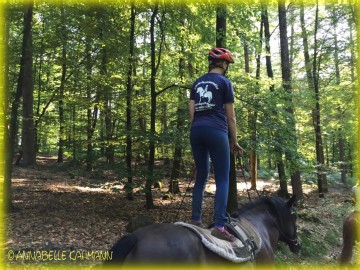 Wer tut es nicht. Ab und an mal im Stehen reiten