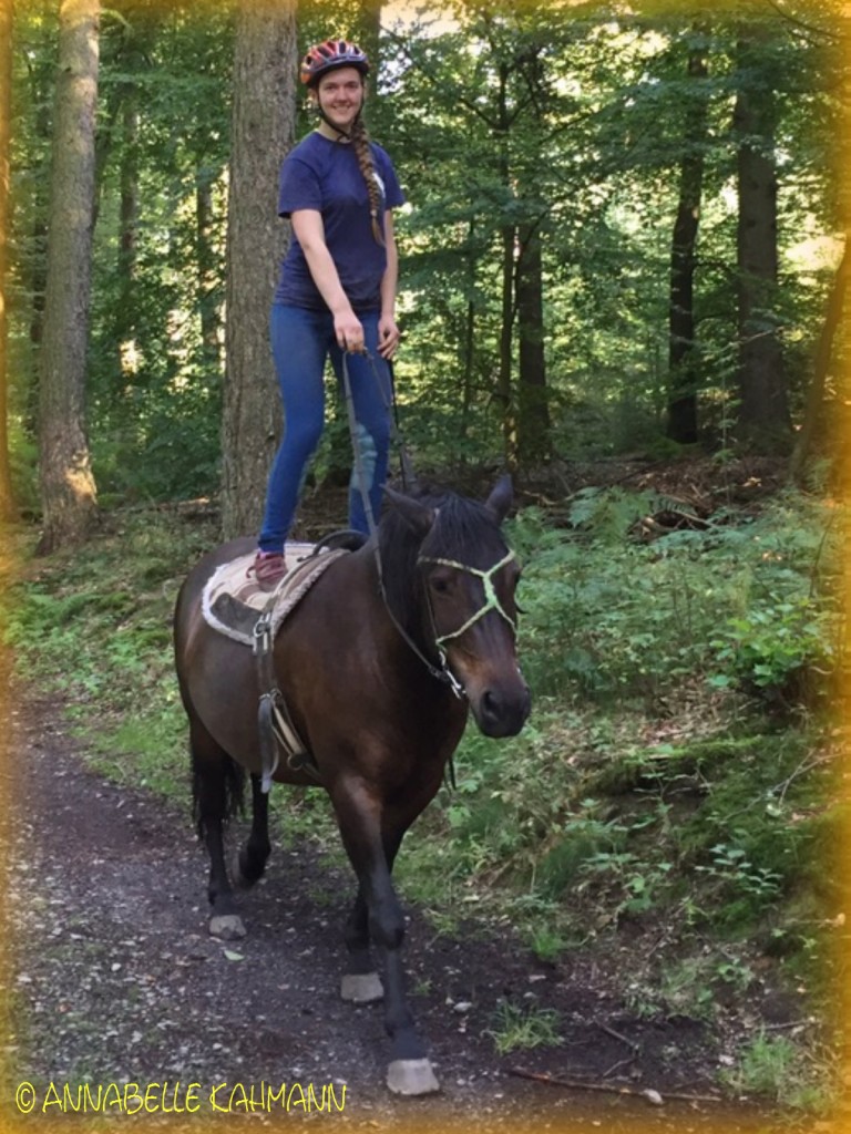 Reiten 2.0