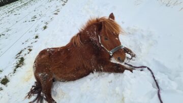 Heute kann es regnen, stürmen oder schneien, denn du strahlst ja selber wie der Sonnenschein!
